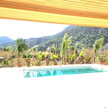 Bellerofon villa Çıralı Esterno foto
